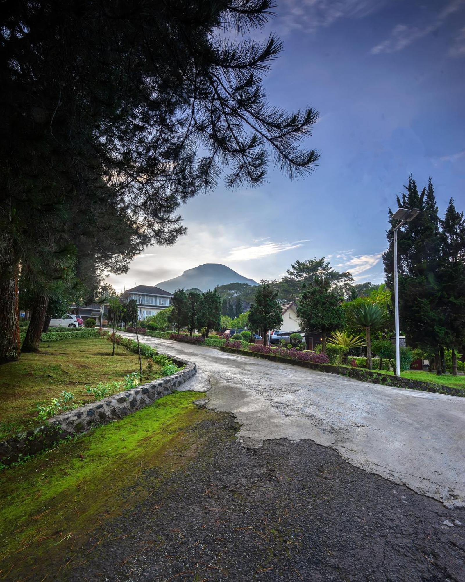 Tambi Tea Resort Kejajar Bagian luar foto